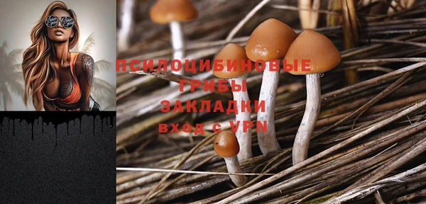 МДПВ Абаза