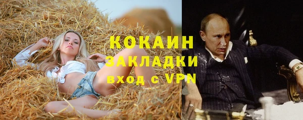 МДПВ Абаза