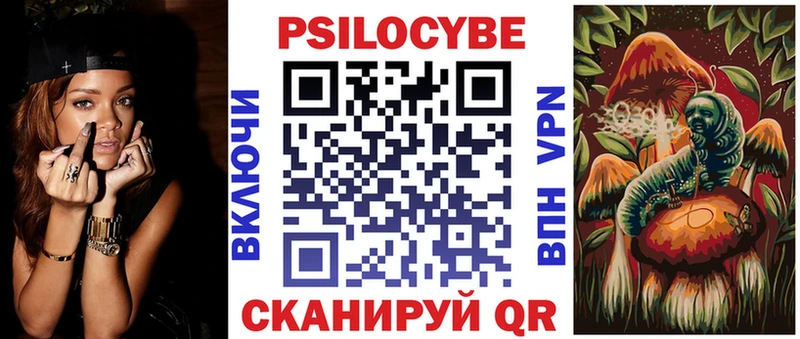Псилоцибиновые грибы Cubensis  Чегем 